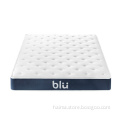 /msite/products/detail/productid/61995391/id/1498363.html